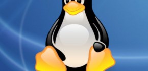 linux-manchot