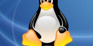linux-manchot