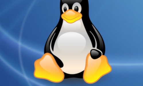 linux-manchot linux-manchot
